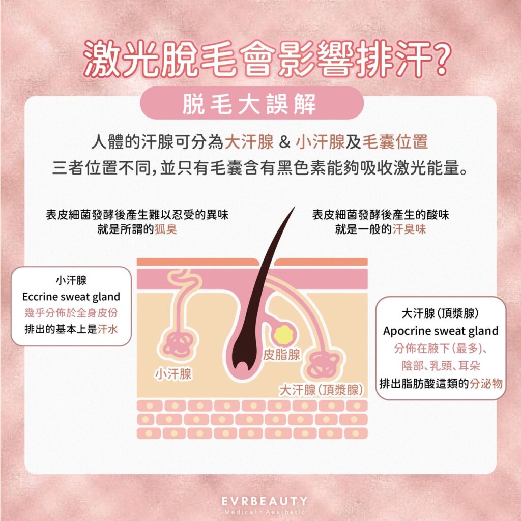 2025激光脫毛邊間好｜EVRbeauty 女士脫毛媒體至愛品牌